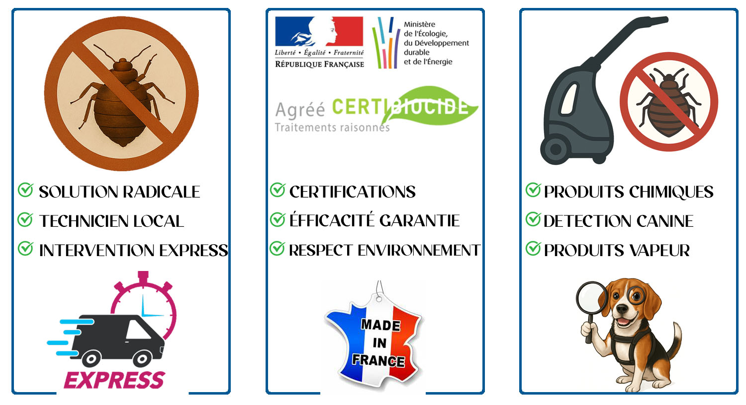 Punaises de Lit Chaville